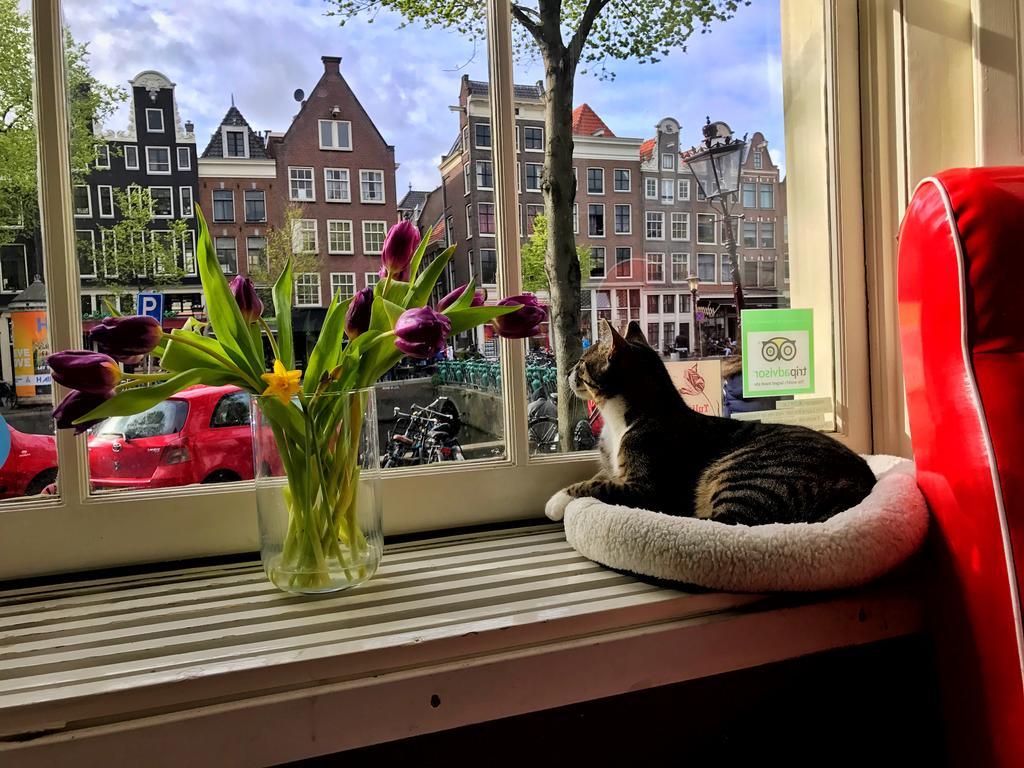 Tulip Of Amsterdam Bed & Breakfast Bagian luar foto